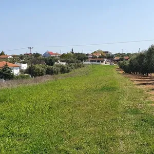 Земельный участок в Kassandra Municipality, фото 4