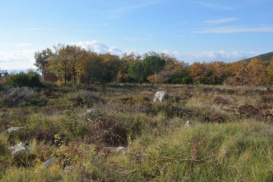 Земельный участок в Кримовица