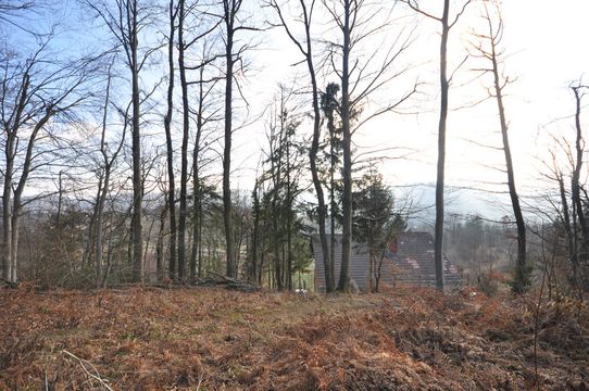 Земельный участок в Любляна