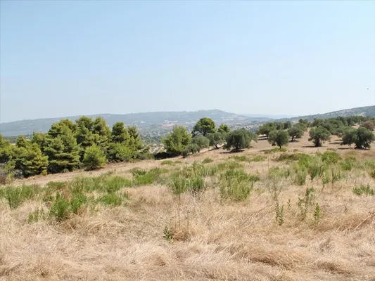 Земельный участок в Kassandra Municipality