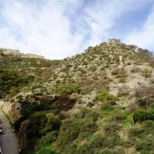 Квартира в Аликанте, фото 2