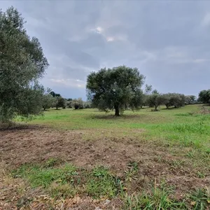 Земельный участок в Kassandra Municipality, фото 3
