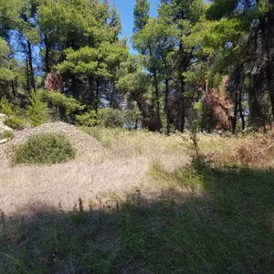 Земельный участок в Kassandra Municipality, фото 3