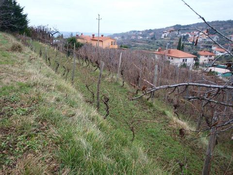 Земельный участок в Изола