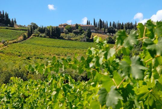 Усадьба в Флоренция