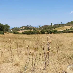 Земельный участок в Kassandra Municipality, фото 2