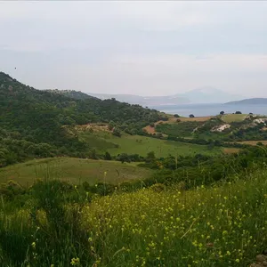 Земельный участок в Aristotle University of Thessaloniki, фото 3