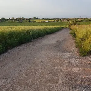 Земельный участок в Kassandra Municipality, фото 3