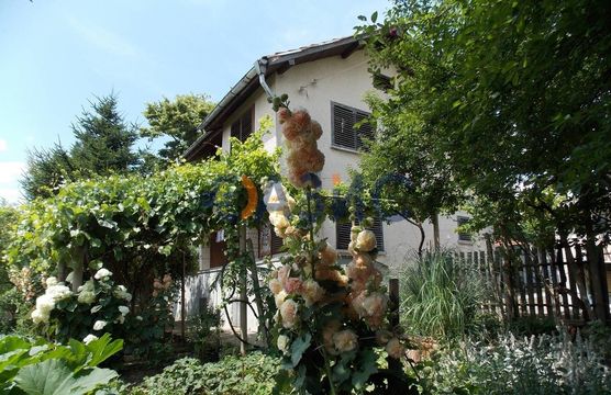 Дом в Маломир