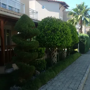 Вилла в Белек, фото 3
