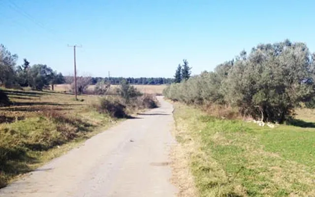 Земельный участок в Kassandra Municipality