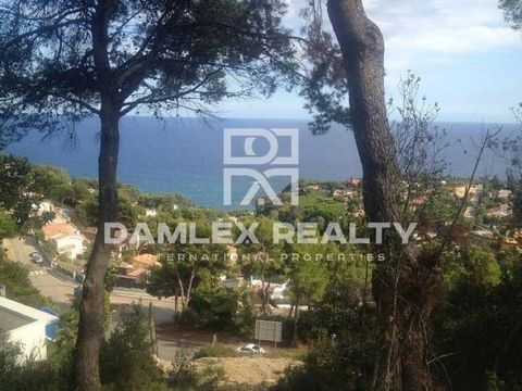 Земельный участок в Бланес