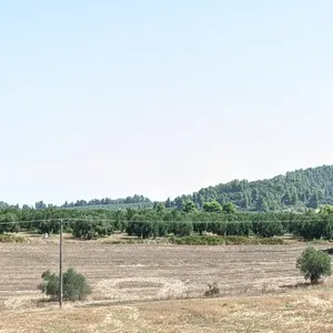Земельный участок в Kassandra Municipality, фото 2
