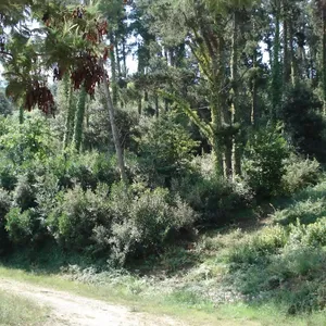 Вилла в Валломаны, фото 5