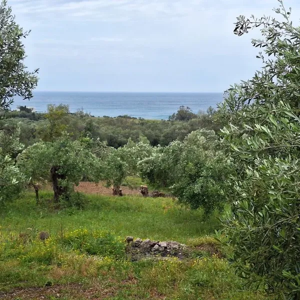 Земельный участок в Corfu, фото 1