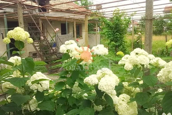 Отдельный дом в Бургас
