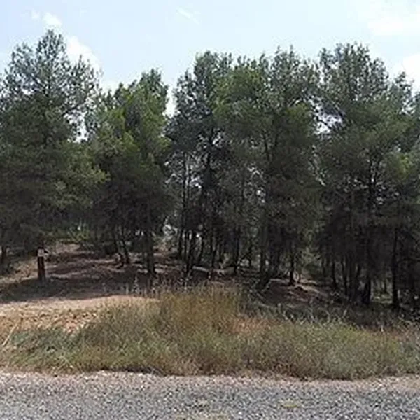 Земельный участок в Айора, фото 1