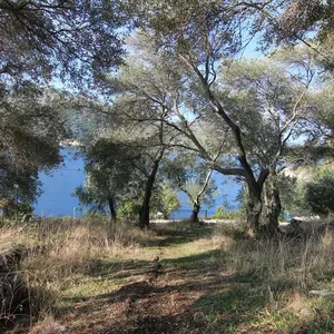 Земельный участок в Corfu, фото 2