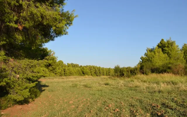 Земельный участок в Kassandra Municipality