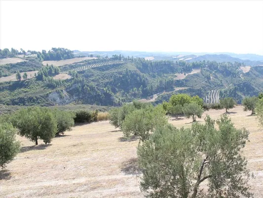 Земельный участок в Kassandra Municipality