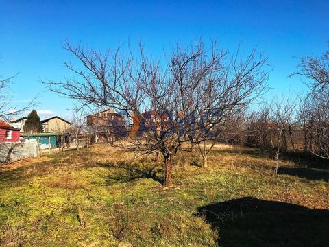 Дом в Порой