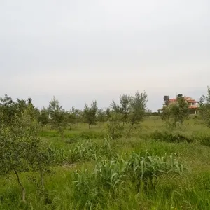 Земельный участок в Corfu, фото 2
