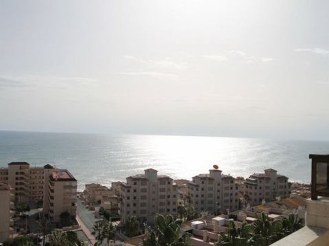 Дом в Торревьеха