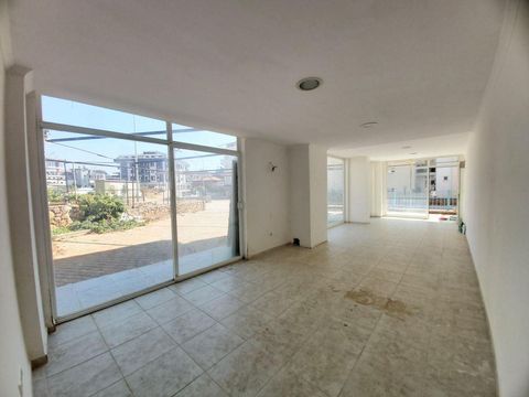 Коммерческая недвижимость в Оба Махаллеси