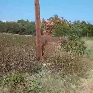Земельный участок в Македония и Фракия, фото 3