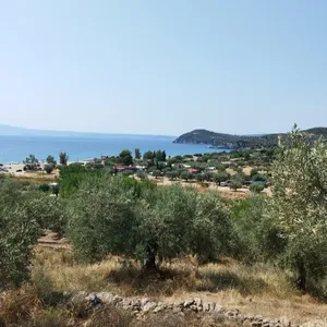 Земельный участок в Aristotle University of Thessaloniki, фото 4