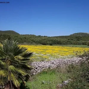 Земельный участок в Агиос Леон, фото 3