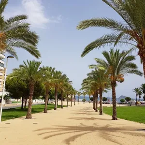 Квартира в Бенидорм, фото 3