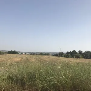 Земельный участок в Терми, фото 2