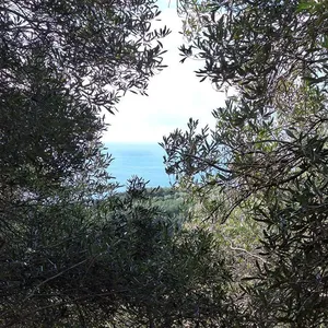 Земельный участок в Corfu, фото 2
