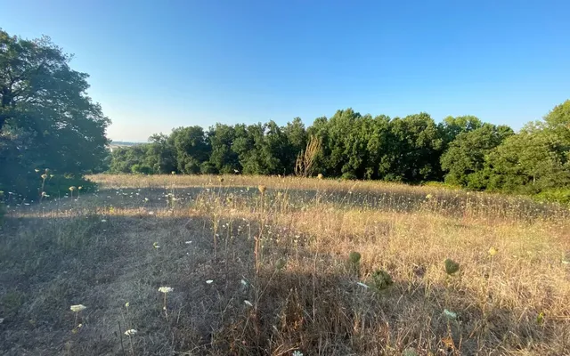 Земельный участок в Kassandra Municipality