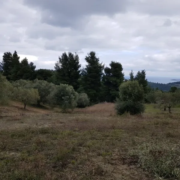 Земельный участок в Kassandra Municipality, фото 1