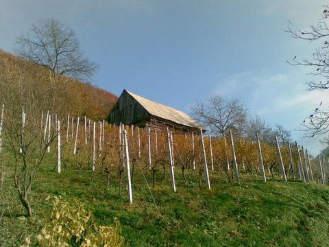 Дом в Рогашка-Слатина