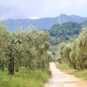 Земельный участок в Тасос, фото 2