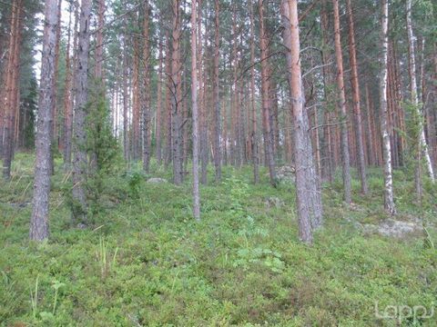 Земельный участок в Савонлинна