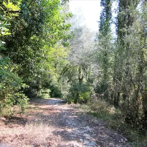 Земельный участок в Corfu, фото 4