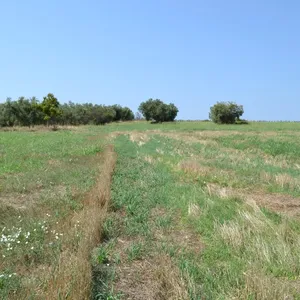 Земельный участок в Kassandra Municipality, фото 2