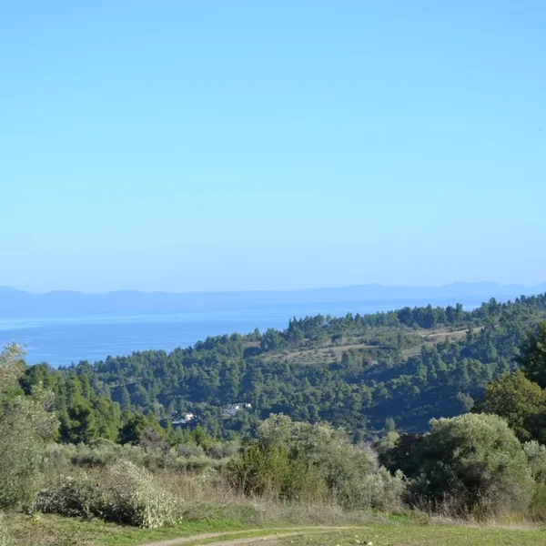 Земельный участок в Kassandra Municipality, фото 1