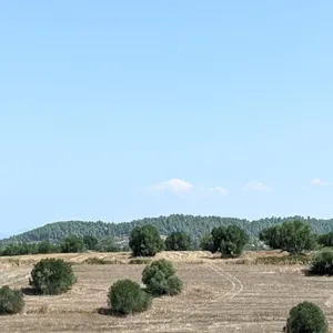 Земельный участок в Kassandra Municipality, фото 3