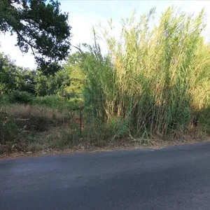 Земельный участок в Corfu, фото 4