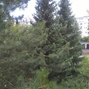 Квартира в Берлин, фото 3