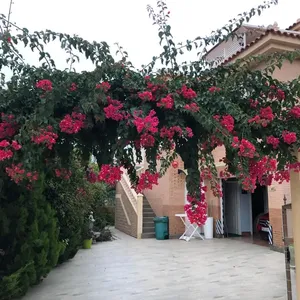 Вилла в Рохалес, фото 2
