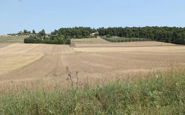 Земельный участок в Kassandra Municipality