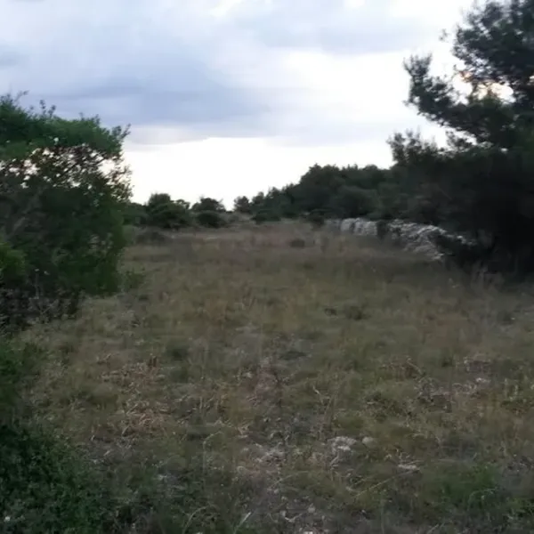 Земельный участок в Вир, фото 1