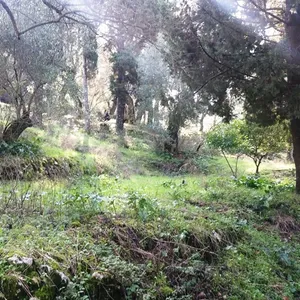 Земельный участок в Corfu, фото 3