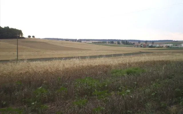 Земельный участок в Kassandra Municipality